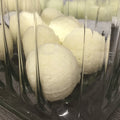 Bio-Badekugeln Sanddorn